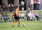 IMG_3972043.jpg